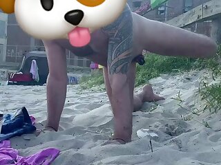 Dog pissing on the beach.