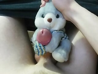 Young slave cute little bunny