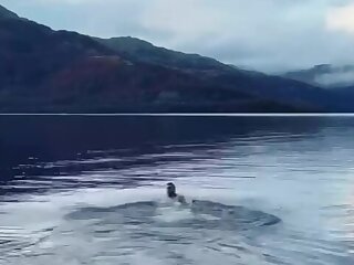 151 Sojmani fidelpipo onlyfans porn LEAKED