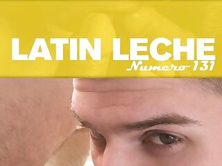 Latin Leche  Numero 131  Andreas