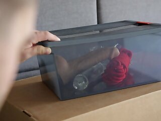 Roommate's Secret 2016