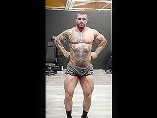 bullsneco