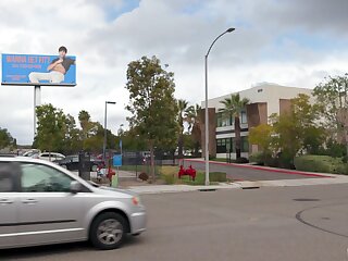 The Animator (Elliot Finn, Michael Del Ray)