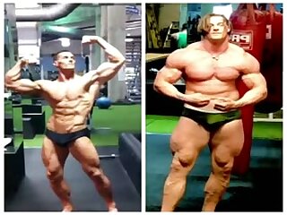 Transformation 250 to 305